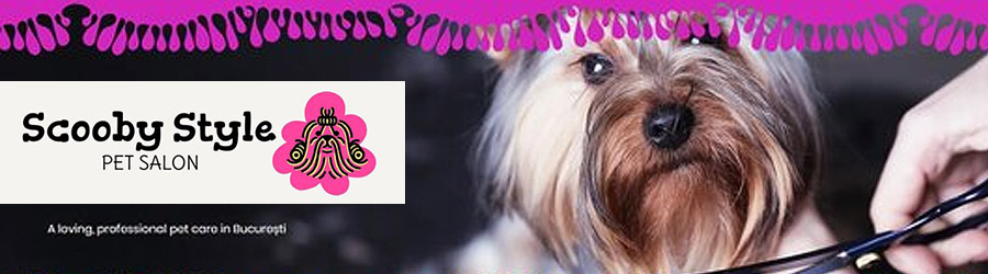 Scooby Style Pet Salon - Salon cosmetica pentru animale de companie Bucuresti Logo