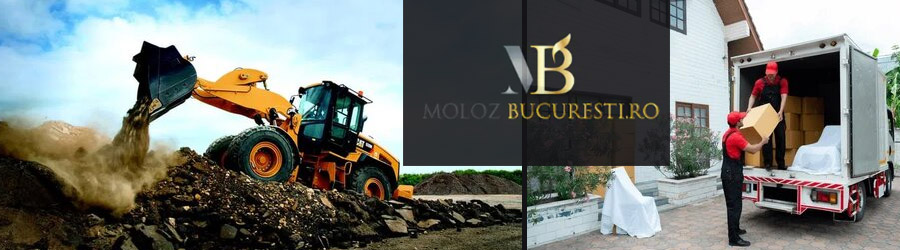MolozBucuresti.ro - Transport moloz, mobila, debarasari locuinte, Bucuresti Logo
