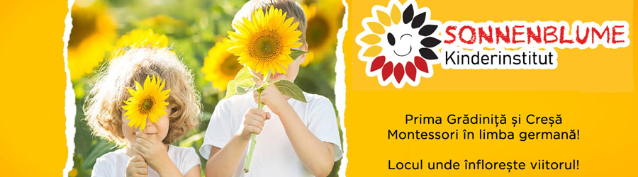 Sonnenblume Kinderinstitut - Gradinita, Cresa Montessori Bucuresti Logo