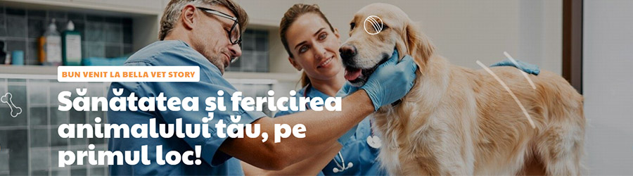Bella Vet Story - Cabinet veterinar Sector 4 Logo