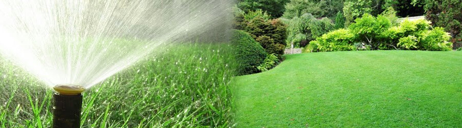 All Garden Improvement - Amenajare si intretinere spatii verzi Logo