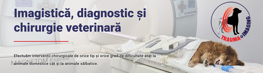 Trauma Surgery Vet - Clinica imagistica, traumatologie si chirurgie veterinara Bucuresti Logo