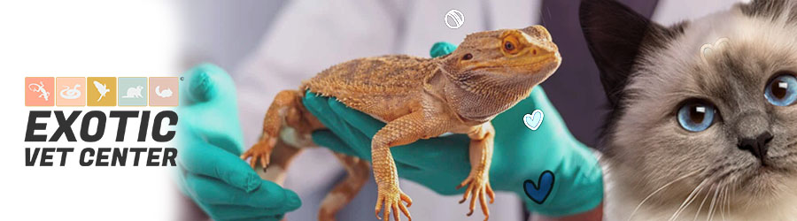 Exotic Vet Center - Spital Veterinar NON-STOP Bucuresti Logo