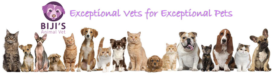 Biji's Animal Vet - Cabinet Veterinar Dr. Emma Alexandra Marcu, Bucuresti Logo
