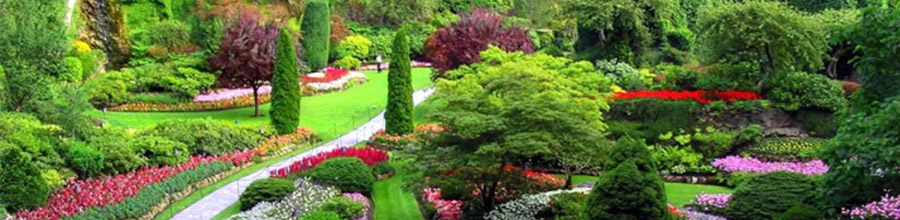 Romantic Garden, Bucuresti - Proiectare, amenajare, intretinere gradini Logo
