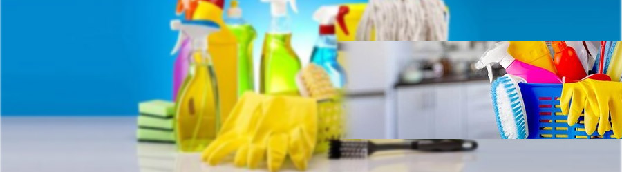 Deny Cleaning - Servicii complete de curatenie Logo