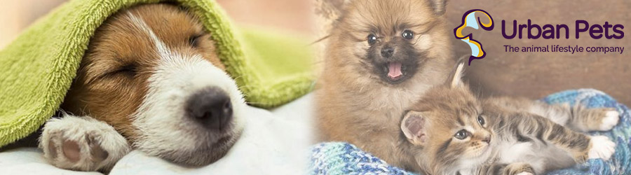 Urban Pets Hotel & Spa Bucuresti Logo