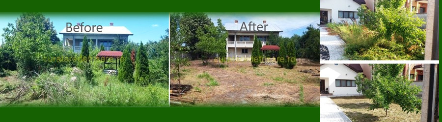 Servicii complete spatii verzi Bucuresti, Ilfov Logo