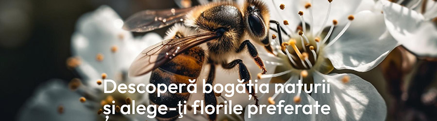 Albine in gradina - Plante, bulbi, amenajari gradini Bucuresti, Ilfov Logo