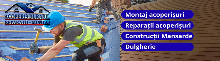 Acoperis Durabil Montaj - Solutii complete acoperisuri Logo