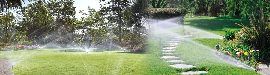 Dream Green - Amenajari si intretinere spatii verzi Bucuresti, Ilfov Logo