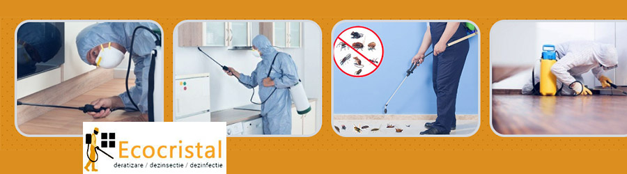 Eco Cristal Clean - dezinsectie, dezinfectie si deratizare Logo