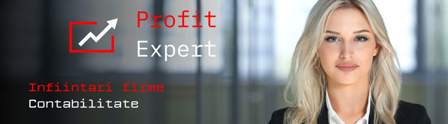 Profit Expert - Infiintari, contabilitate si servicii firme Bucuresti Logo