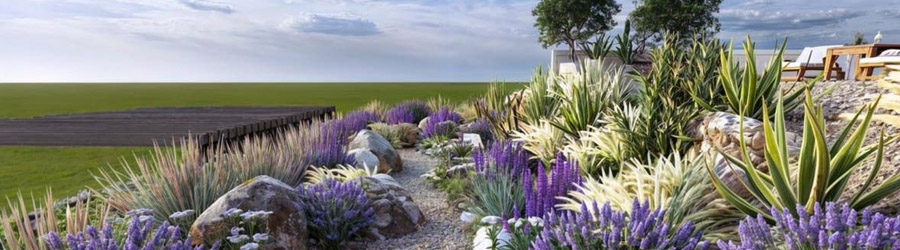 Studio Garden - Proiectare, amenajare si intretinere gradini Logo