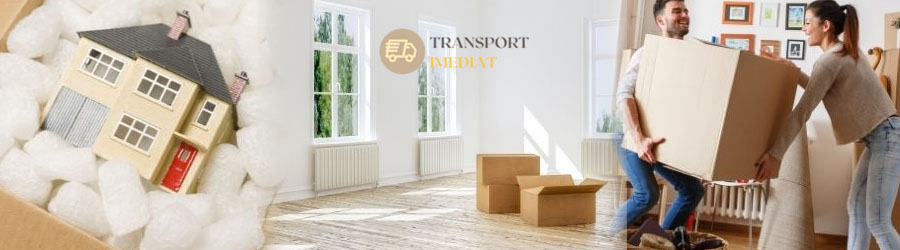 Transport Imediat Bucuresti, Ilfov Logo