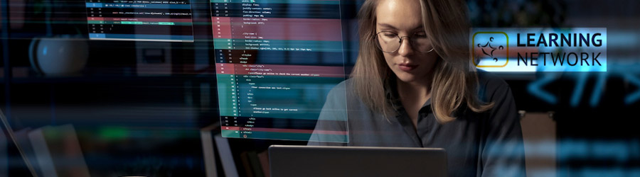 Learning Network - Cursuri resurse umane (HR), Cursuri de business - management, Cursuri project management, Bucuresti Logo