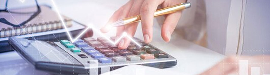 Minea C. Cristina Nicoleta - Expert Contabil, Bucuresti Logo