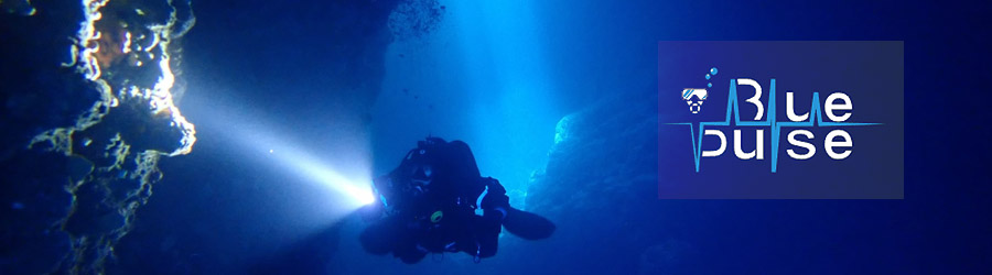 Blue Pulse Diving - Cursuri scuba diving Logo