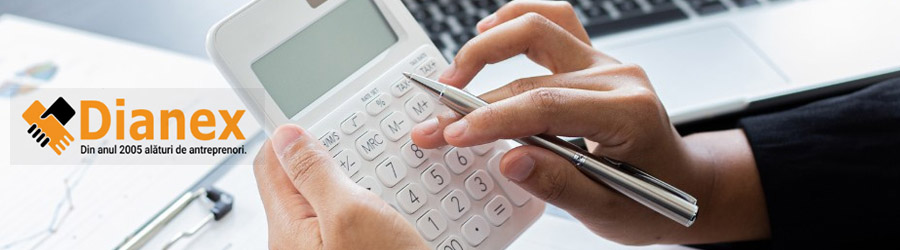 Dianex Serv Romania - Infiintare firme, mentiuni la ONRC si servicii de contabilitate Logo