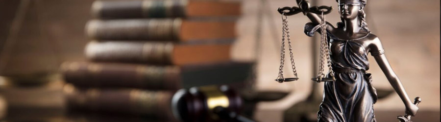 NotariX - Birou Notarial Ilfov Logo