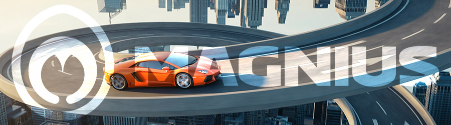 Magnius - productie publicitara Iasi si in tara Logo