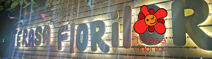 Terasa Florilor - Restaurant traditional romanesc, Bucuresti Logo