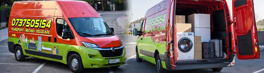 Alexander Transport - Mutari, Debarasari, Transport Mobila Ieftin Bucuresti, Ilfov Logo