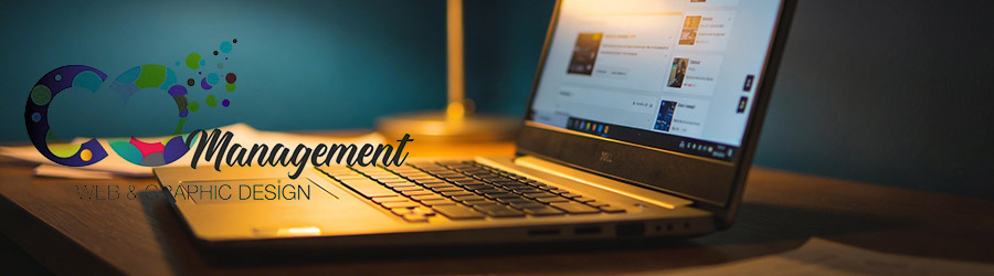 Comanagement - creare site-uri de prezentare WordPress, web design modern si optimizare SEO Logo