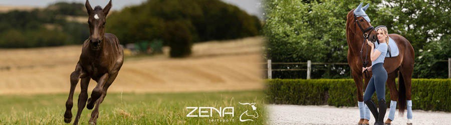 Zena Reitsport - Magazin de echitatie Harghita Logo