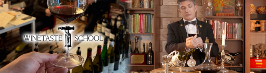 Winetaste School Sergiu Nedelea - Curs de Somelier, Bucuresti Logo