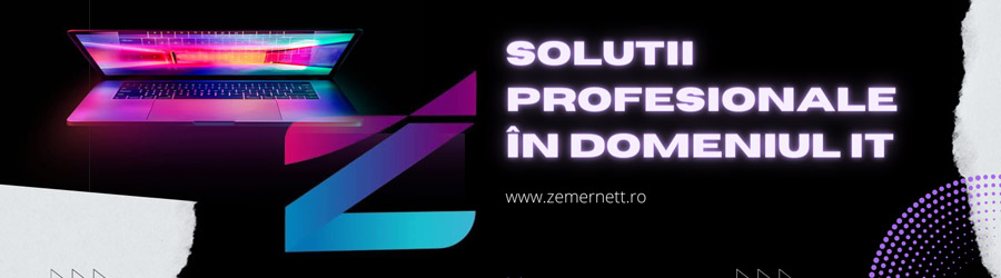 Zemernett Logo