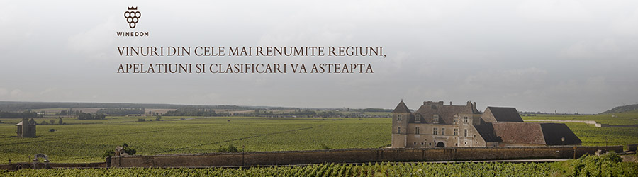 Winedom - Magazin online vinuri in Franta si Italia Logo