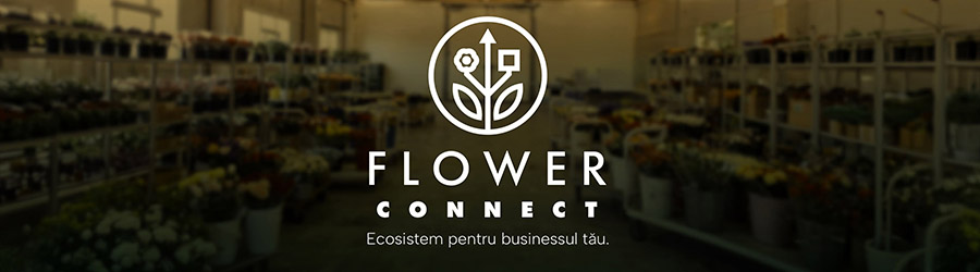 Flower Connect - Ecosistem pentru businessul tau floral Logo