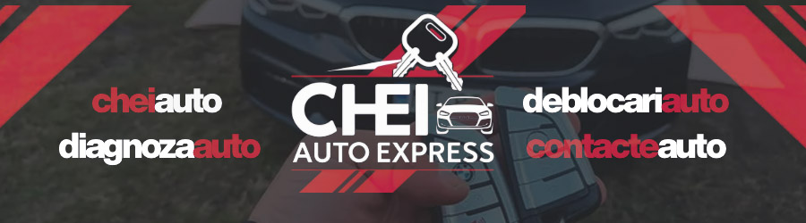 Chei Auto, Reparatii contacte Bacau Logo