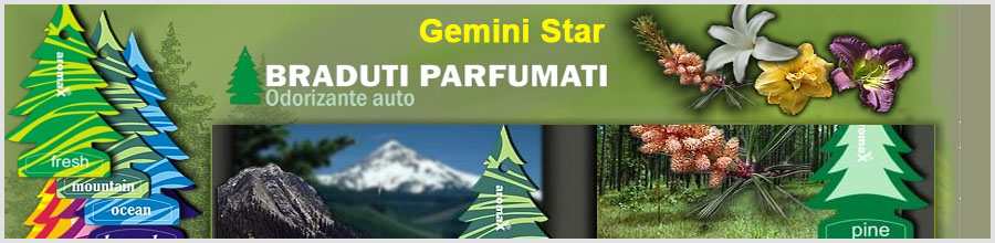 GEMINI STAR Logo
