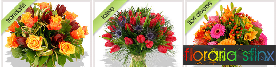 Sphinx Flower Shop - buchete, aranjamente florale Bucuresti Logo