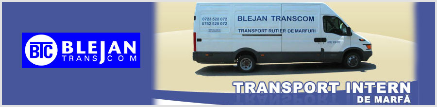 BLEJAN TRANSCOM Logo