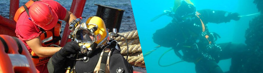 Shark - Operatiuni subacvatice pentru constructii, inspectii si testari, reparatii si intretinere, Constanta Logo