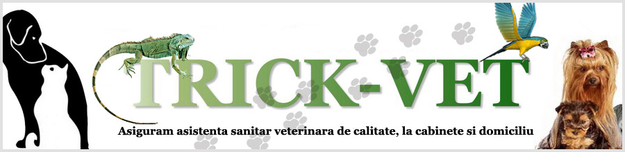 TRICK VET Cabinet veterinar Logo