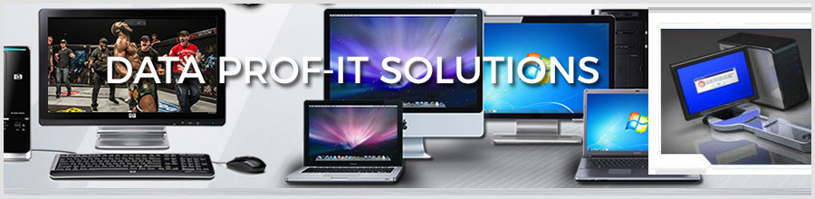 Data Prof-it Solutions Bucuresti - Service computere, mentenanta IT Logo