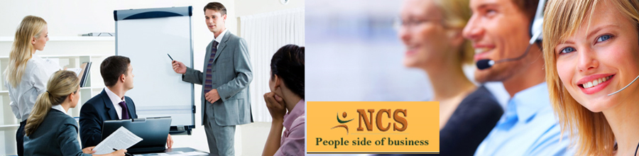 NORO Consulting Services Logo