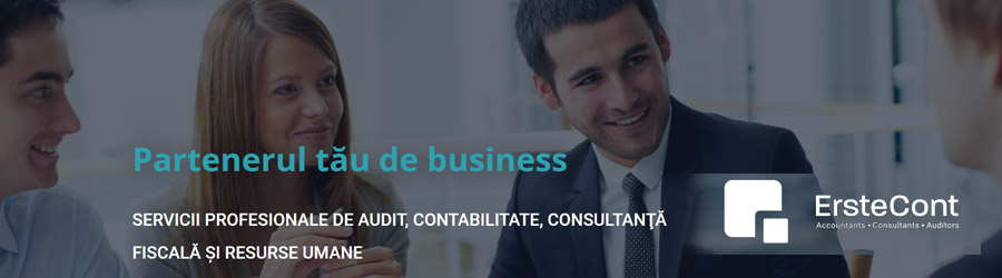 Erste Cont - consultanta si asistenta manageriala, contabilitate Bucuresti Logo