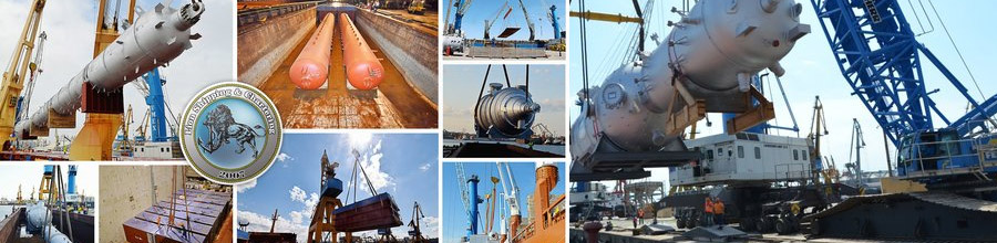  Lion Shipping & Chartering - Logistica, servicii de transport maritim si fluvial, servicii portuare, Constanta Logo