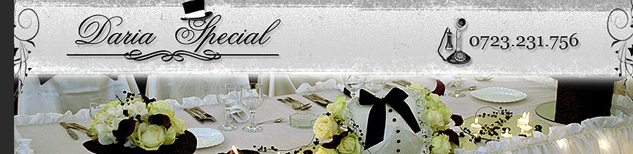 Daria Special - Wedding planning - Bucuresti Logo