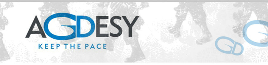 AGDESY Logo