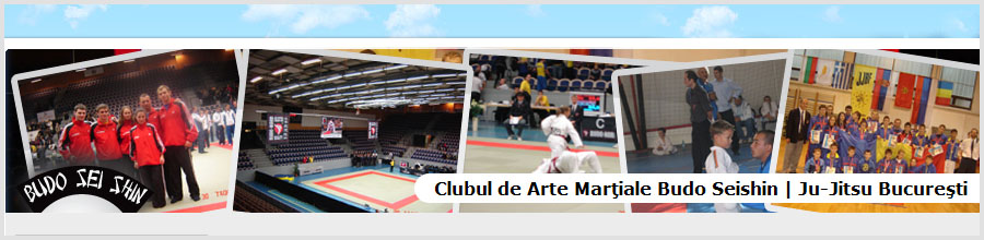 Club sportiv Budo Seishin - Scoala de arte martiale Bucuresti Logo