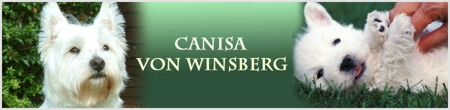 Canisa WINSBERG Logo