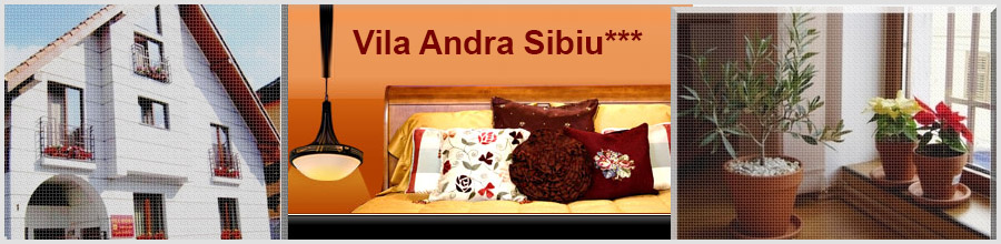 Vila Andra Sibiu*** - jud. Sibiu Logo