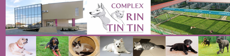 Complex RIN TIN TIN Logo