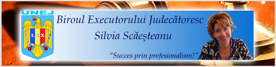 Silvia Scaesteanu - Birou Executor Judecatoresc Bucuresti Logo